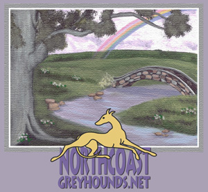 Rainbow Bridge - NorthcoastGreyhounds.net